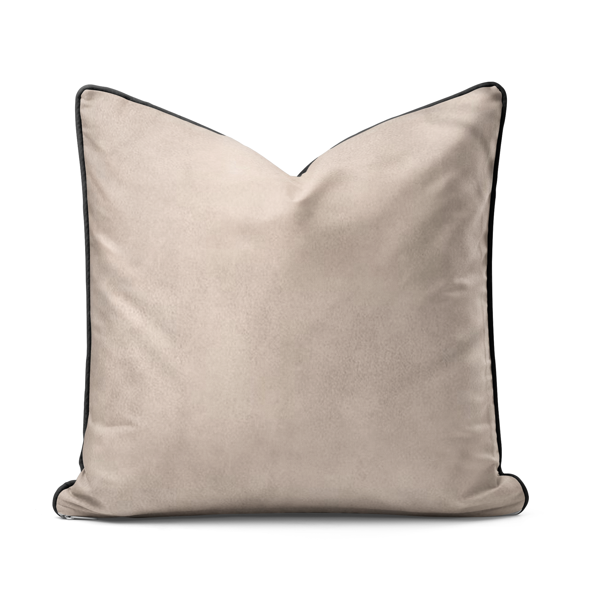 Chromatic Symphony | Canvas Cushion