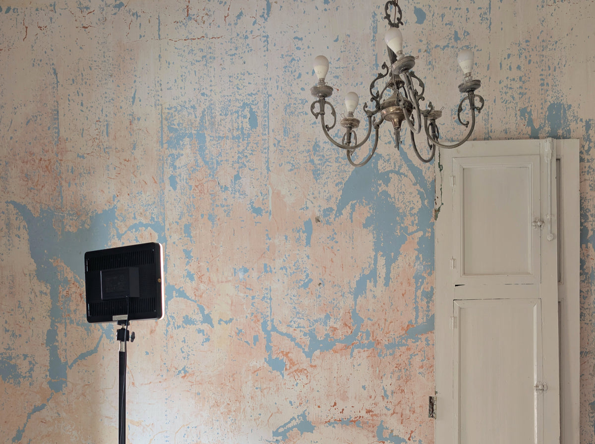 The Studio featured image